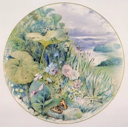 Vilda blommor och vegetation i ett sjölandskap